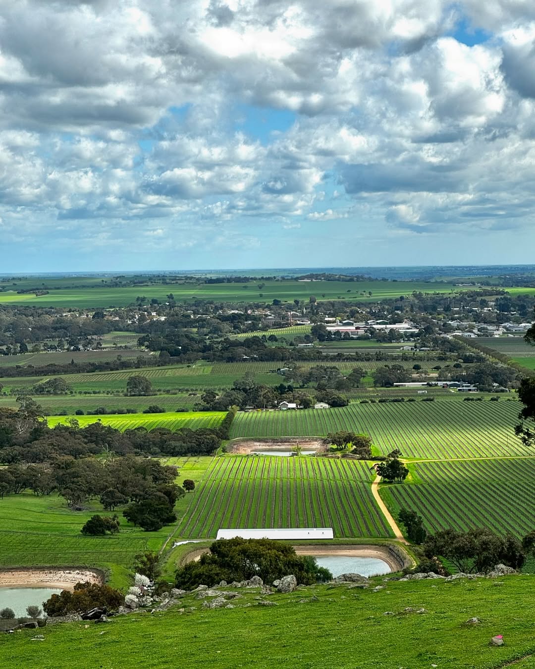 Mengler’s Hill Lookout